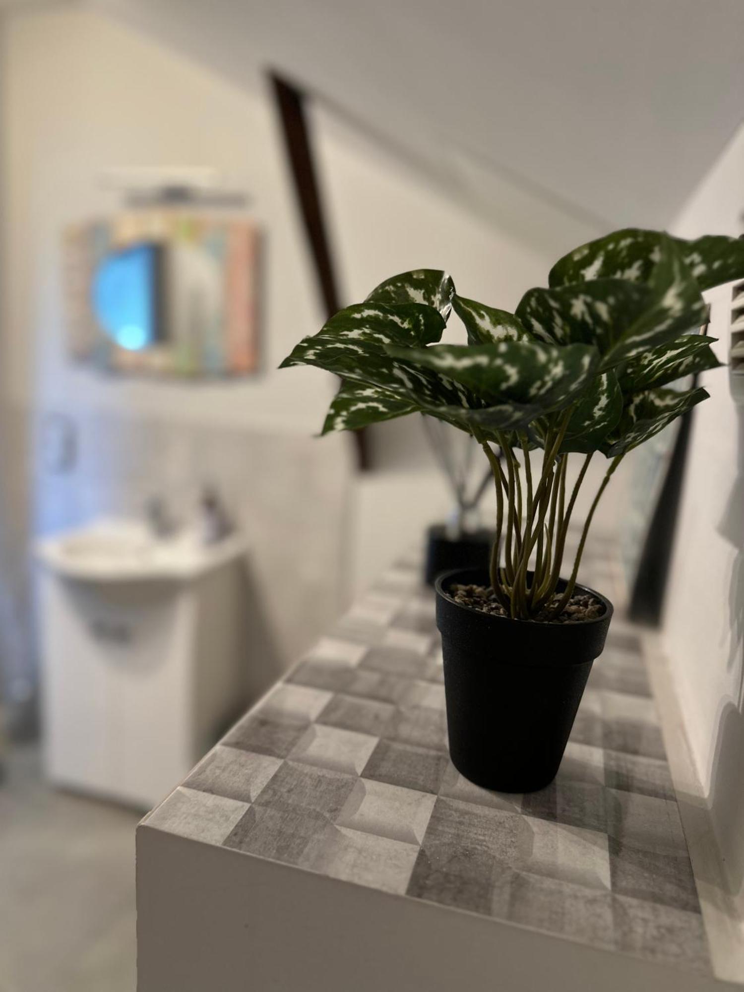 Bed & Breakfast Szumi *